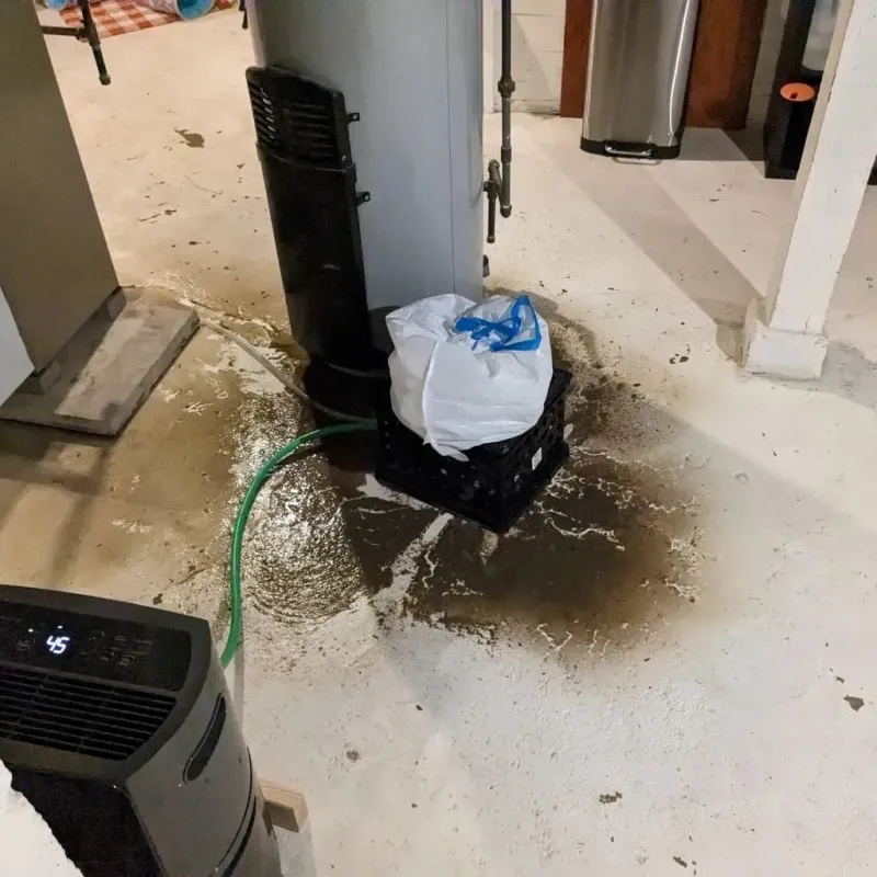 Sewage Backup Cleanup Service in Pompton Lakes, NJ